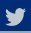 twitter-icon